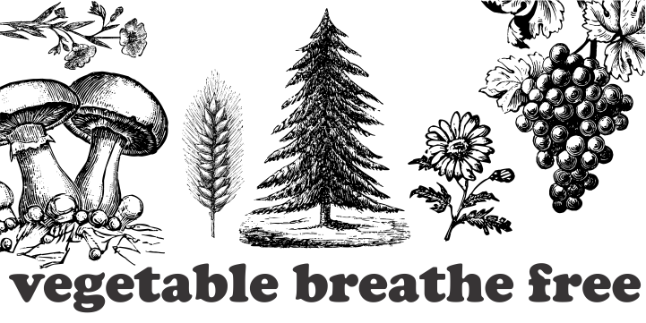 Vegetable Breathe
